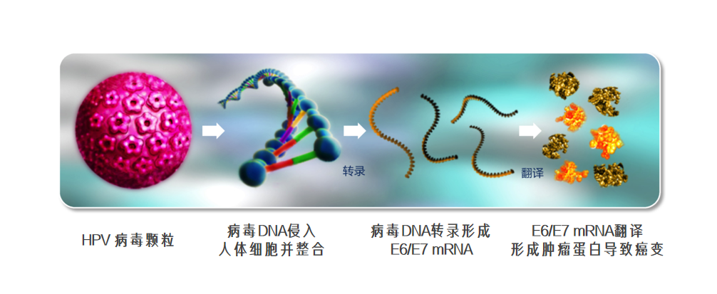 1692665657782556.png 2.png