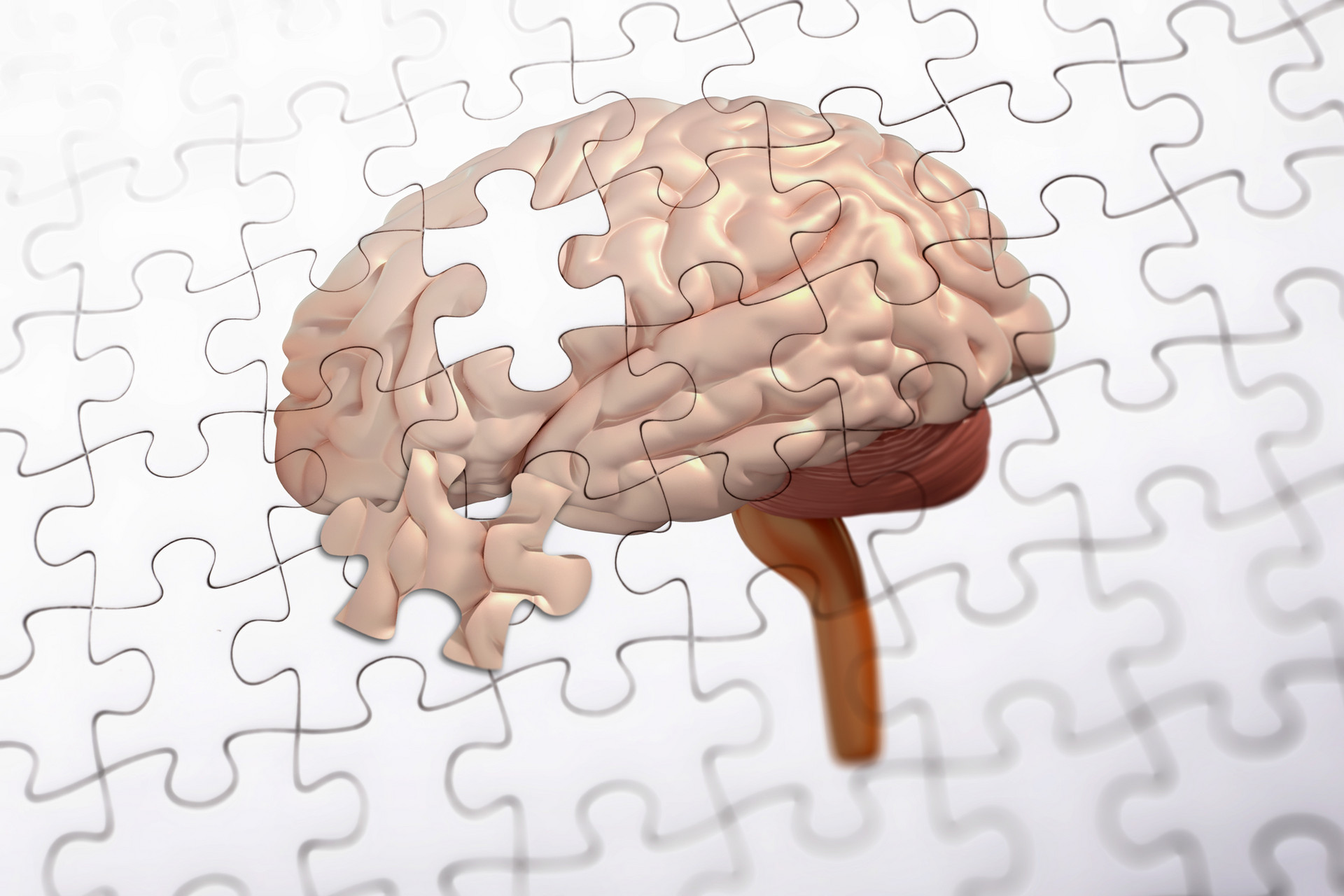 1718783418411749.jpg ÉãÍ¼Íø_401936681_banner_ÍíÄê³Õ´ô£¨ÆóÒµÉÌÓã©.jpg