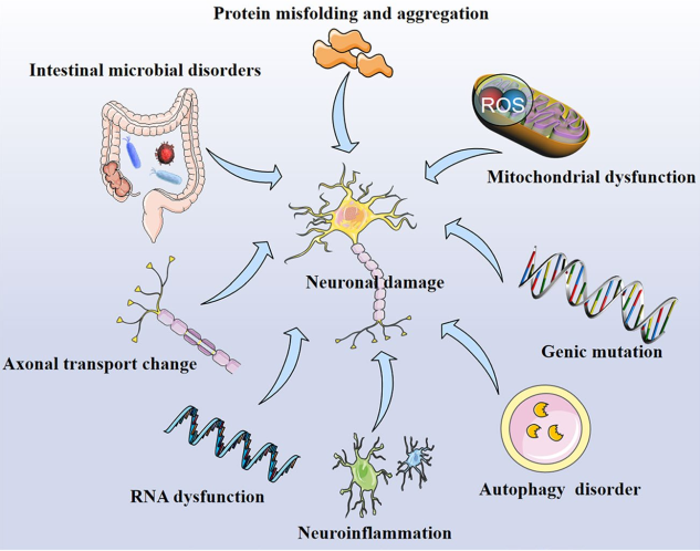 1719450287391707.png ͼƬ1.png