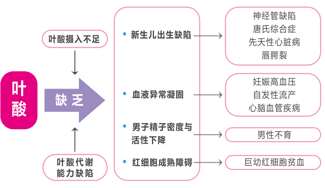 1723770788984242.png 图片 1.png